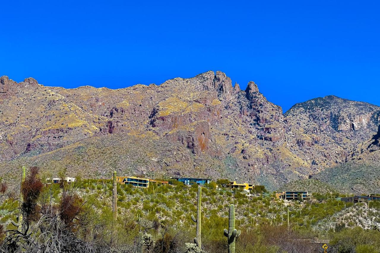 Lizard Rock Villa Tucson Eksteriør bilde
